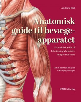 Anatomisk guide til bevægeapparatet