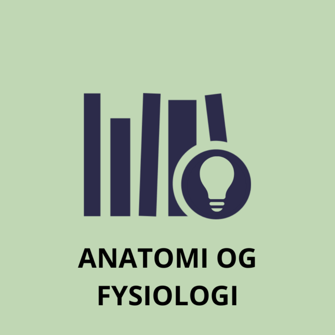 Den digitale sygeplejeskole –  anatomi & fysiologi – abonnement