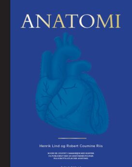 Anatomi